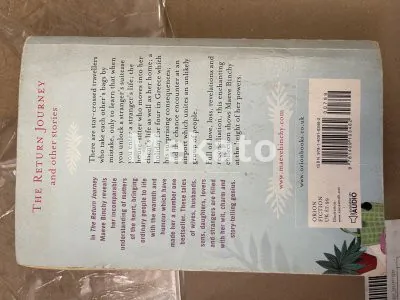 Maeve Rinchy The Return Journey