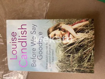 Louise Candlish Before We Say Goodbye