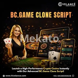Ready-to-Launch BC Game Clone Script for Crypto Casino Startups