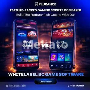 Turnkey BC Game Clone Solution for Crypto Betting Entrepreneurs