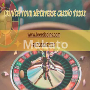 7BitCasino Clone Script | Launch Advanced Crypto Casino Platform
