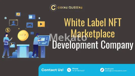 White Label NFT Marketplace Development Company for Competitive Advantage
